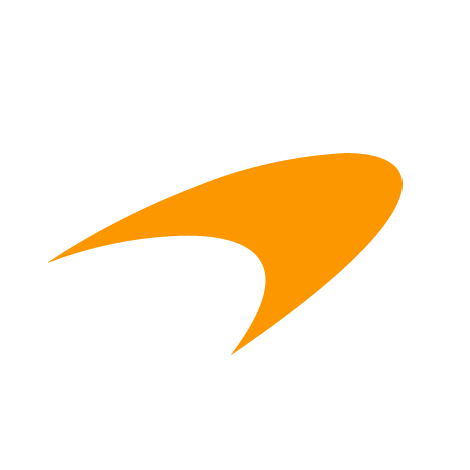 McLaren Service History Check